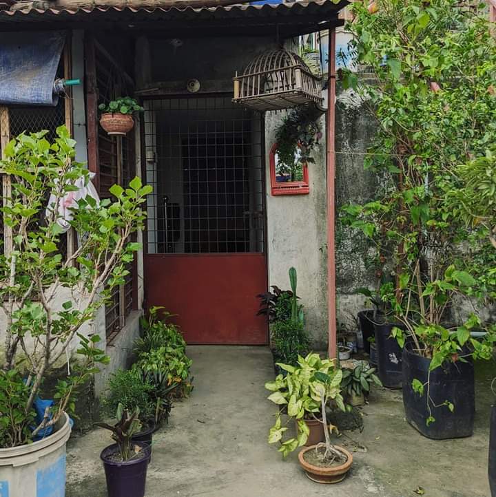 চিলেকোঠার বাগান